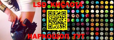 крисы Краснодар