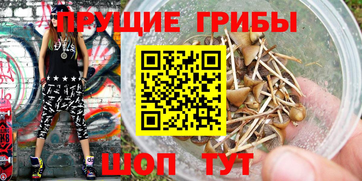 Псилоцибиновые грибы мицелий  Вход с VPN  Кировск 