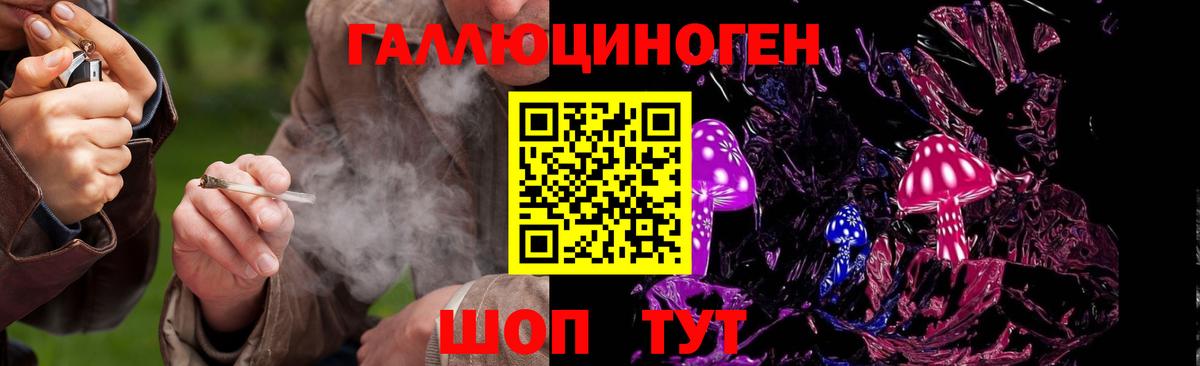 Псилоцибиновые грибы Psilocybe Кировск